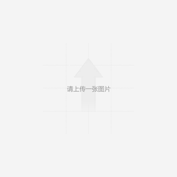 企业证件照